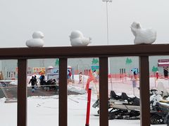 -华彬猛犸滑雪场