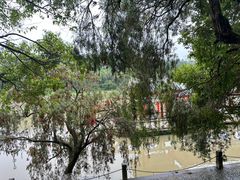 -九鲤湖风景区