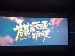 -万达影城(江桥万达广场IMAX店)