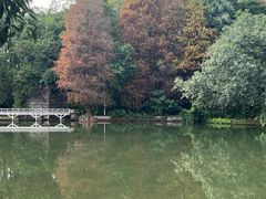 -荔枝公园(福田区)