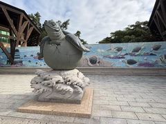 -广东惠东海龟国家级自然保护区