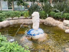 -南宫五洲植物乐园