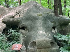 -中国茶叶博物馆(双峰馆区)