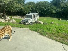 -西安秦岭野生动物园