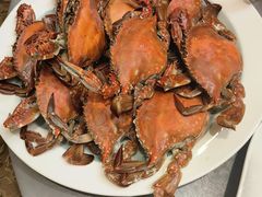 -正阳春烤鸭(华捷道店)