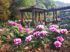 -幕燕滨江·长江观音景区