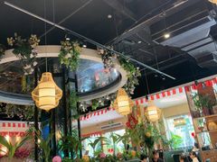 -龙泉人椰子鸡(龙昆南总店)