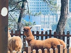 -杭州千岛湖开元度假村