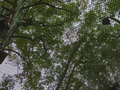 -芦仙山景区-飞越丛林探险乐园