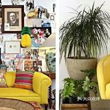 时髦摩登的黄色调，是家居时尚的不变风潮