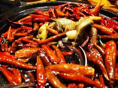 -丹江渔村(望京店)