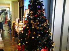 -林肯爵士乐上海中心 Jazz at Lincoln Center Shanghai