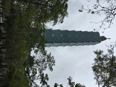 台北101大楼-台北101