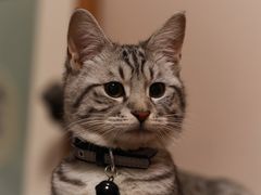 -美联众合24小时·皮肤科·外科·全科诊疗中心(华苑分院)
