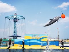 -北戴河圣蓝海洋公园