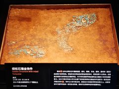 -盘龙城遗址博物院