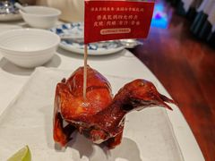 -侨美食家·41年地道粤菜(珠江新城店)