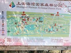 -上海海湾国家森林公园
