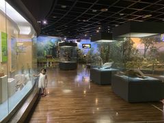 -陕西自然博物馆