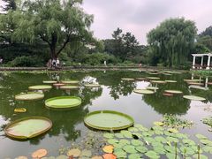 -国家植物园南园