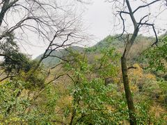 -黔灵山公园-南门售票处