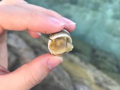 -中央格兰德岛温泉度假酒店 - 全包