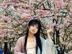 -南山植物园