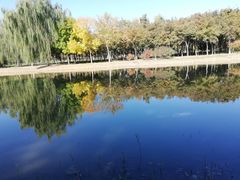 -大兴滨河森林公园