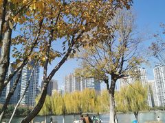-西北湖绿化广场