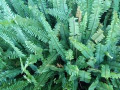 -云南艺术学院(呈贡校区)