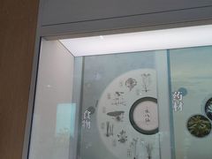 -中国湿地博物馆