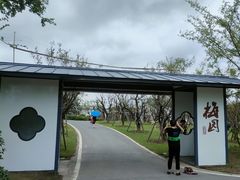 -上海长兴岛郊野公园