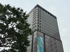 -新世界百货(明洞总店)
