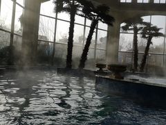 -仁爱团泊湖温泉中心
