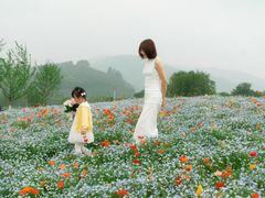 -径山花海