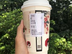 -茶颜悦色(岳麓山顶店)