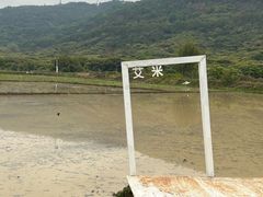 -艾米稻香小镇