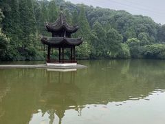 -忠山公园