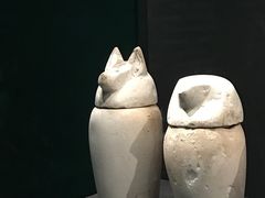 -遇见博物馆(遇见海洋沉浸式奇幻光影展)