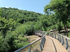 -白水寺森林公园