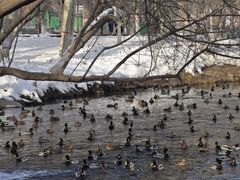 -水磨沟公园
