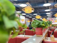 -818内蒙铜锅涮肉自助火锅(台东首店)