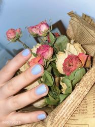 -CM.Nail美甲美睫
