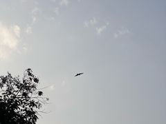 -南京珍珠泉风景区