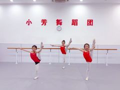 -小芳舞蹈团·少儿舞蹈·中国舞(龙江校区)