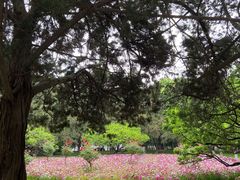 -西北农林科技大学(北校区)