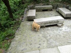 -北京十三陵国家森林公园蟒山景区