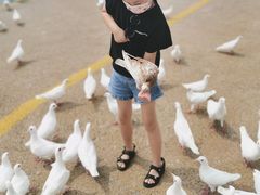 -烟台海昌鲸鲨海洋公园