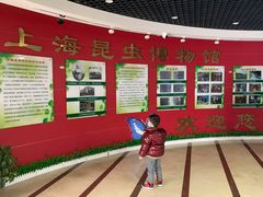 -上海昆虫博物馆