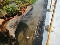 -水悦汇
